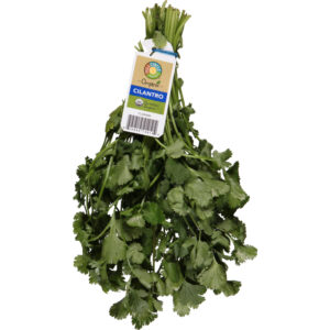 Full Circle Market Organic Cilantro 1 ea