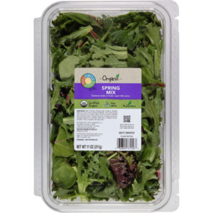 Full Circle Market Organic Spring Mix 11 oz