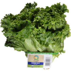 Full Circle Market Organic Green Leaf Lettuce 1 ea